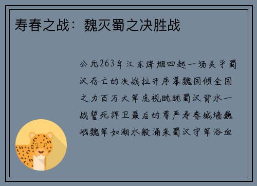 寿春之战：魏灭蜀之决胜战